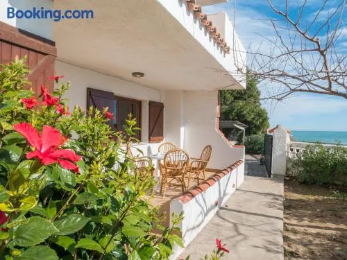 Casas Pareadas Romana - Image 1