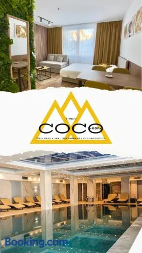 Coco Kop studio - Image 1