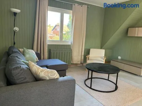 Fully Renovated Quiet home near Basel, Alsace & Black Forest - Image 1