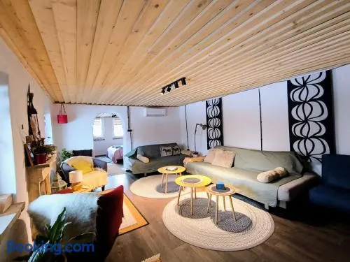 Blue Forest Retreat - Image 1