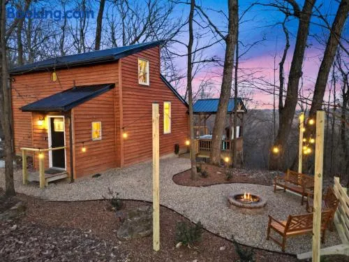 Hot tub, fireplace, fire pit, pool table, grill, EV, pets, HOA lake - Image 1