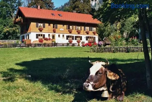 Gästehaus Hedwig - Image 1