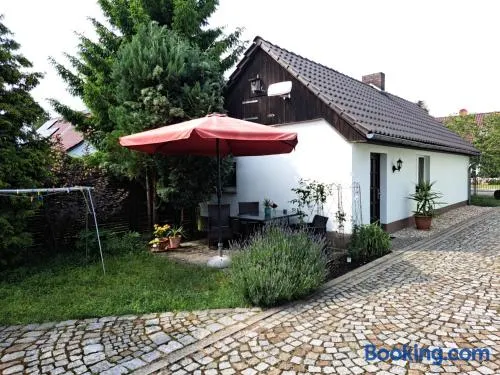 Ferienhaus Wilhelm Spreewald - Image 1