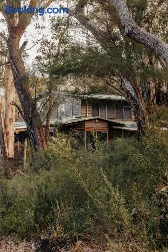 Bimbi Forest Eco Lodge - Denmark - Image 1