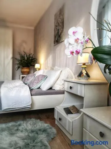 Home garden oasis - Image 1