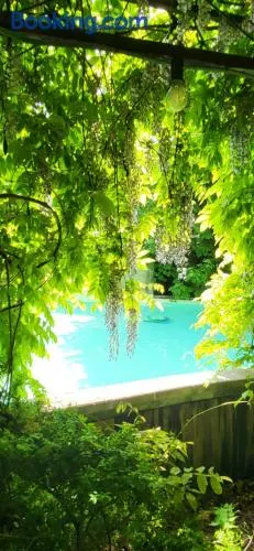 The Secret Garden - Image 1