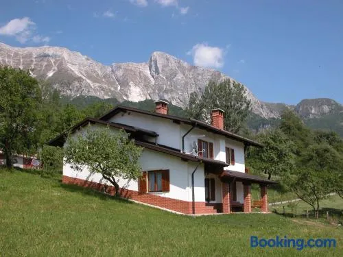 Apartments Ivančič - Image 1