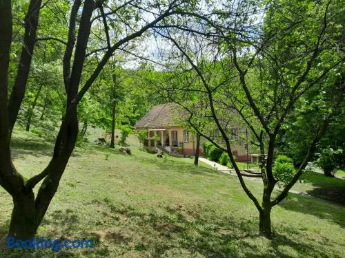 Tilia Ház - Image 1