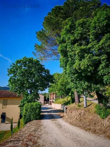 PODERE PIANA - Image 1