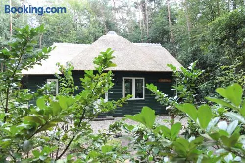 Vakantiehuis 't Musje - Image 1