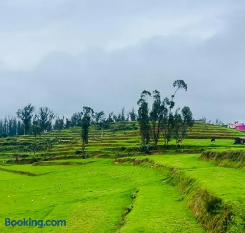 Teyt's Green Haven - 3 BHK - Image 1