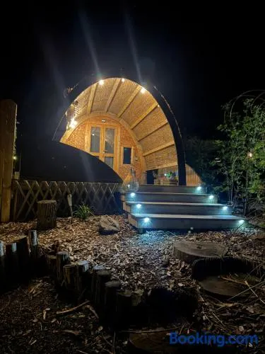 La cabane de l'étang - Image 1