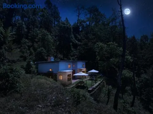 Astitva Binsar - Image 1