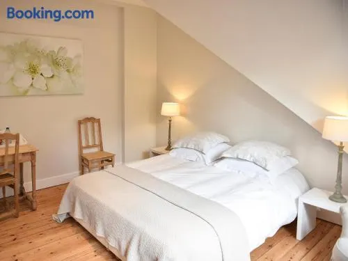 B&B Salve - Image 1
