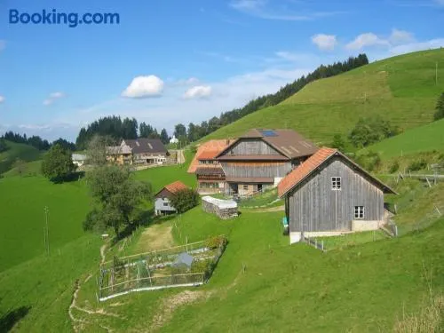 Apartment Ober-Tiefenbühl - Image 1