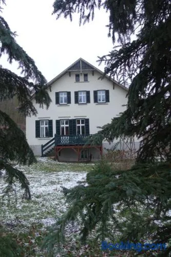 Pension Gräfliche Villa - Image 1