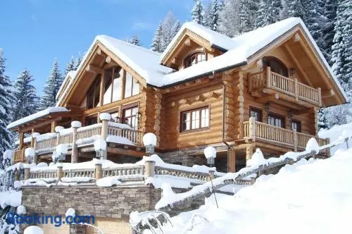 Chalet Caprea - Image 1