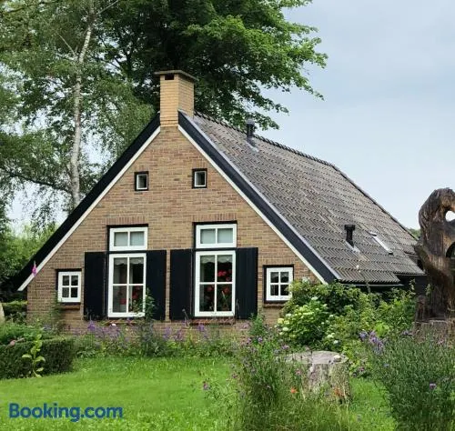 Natuurhuisje OosterEese - Image 1