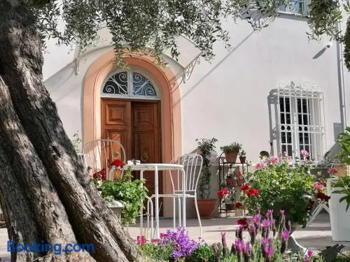 B&B Villa Lula Lucca - Image 1