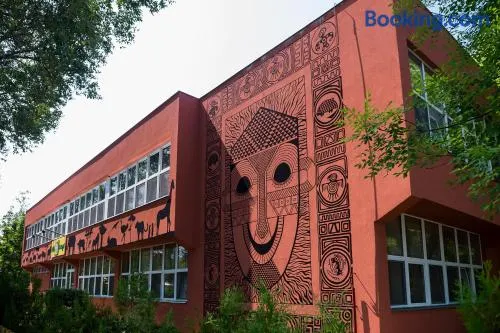 Hotel Dzsungel - Image 1