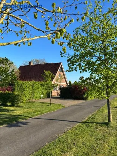 Vakantiewoning de Hofmeier - Image 1