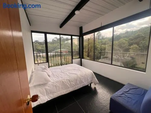 Ventana al bosque - Image 1