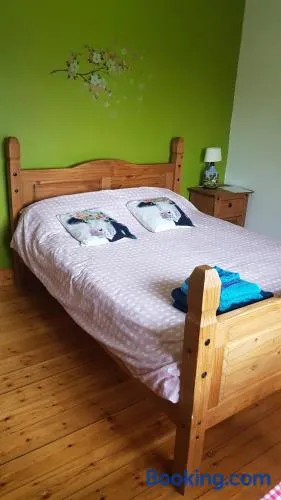 Room in a private house in the middle of countryside first store or bar within 10 min drive cats in the property - Image 1