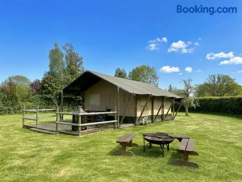 The Firs Glamping - Image 1
