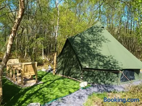 Green woodland bell tent - Image 1