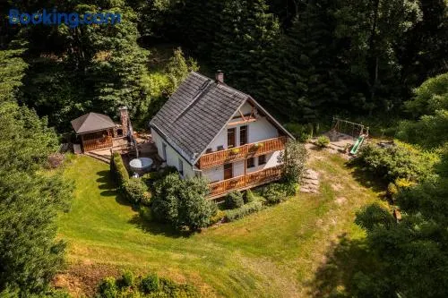 Chalet Horní Orlice - Image 1