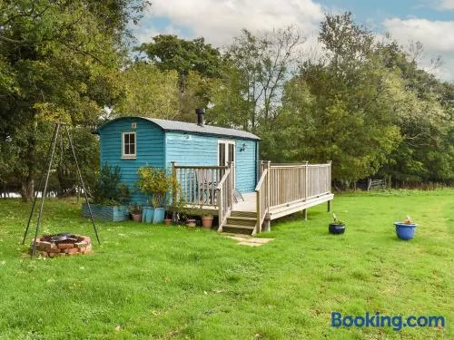 The Shepherd's Hut - Image 1