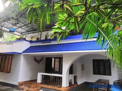 The Lungi Vibe - Image 1