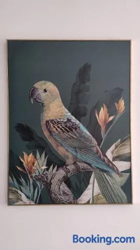 Casa Rocco - Image 1