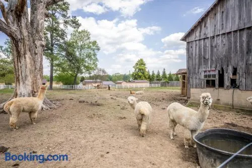 Watch Deer from a Farm Cottage - Image 1