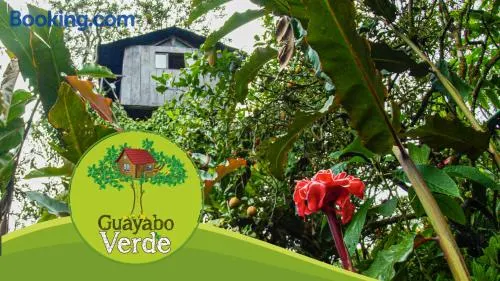 Guayabo Verde - Image 1