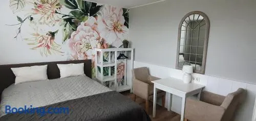 B&B Duinroos De Koog - Texel - Image 1