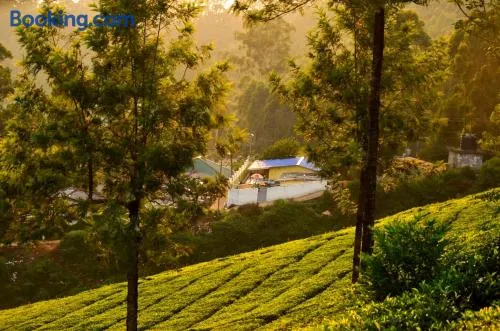 Munnar Valley View - Image 1
