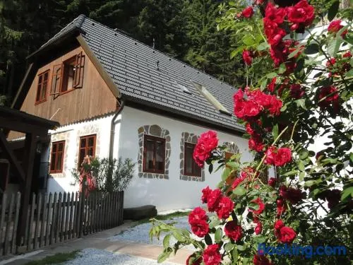 Gillausklause - eine Insel im Wald - Waldviertel - Image 1