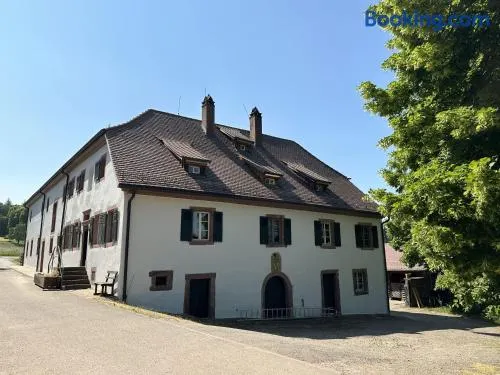 Metzlinschwander Hof - Image 1