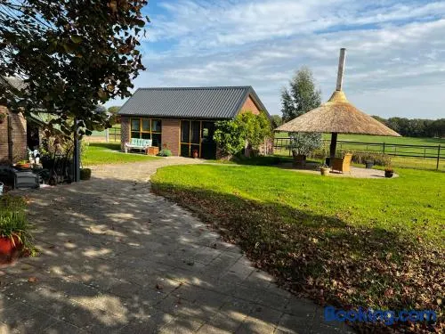 Gastenverblijf De Handwijzer - Image 1