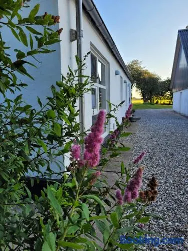 Vakantiewoning Denemarken - Image 1