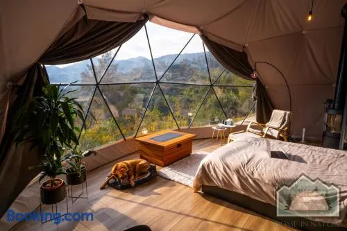 Dome in Nature - Image 1