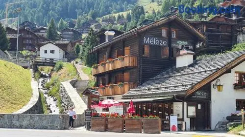 Meleze - Image 1