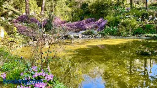 L'Autre Paradis-Piscines naturelles-Plages-Jardin enchanté-Sauna - Image 1