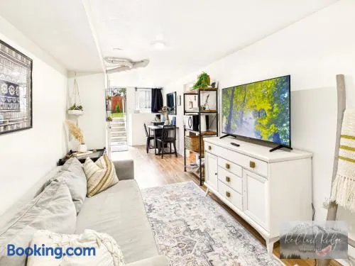Downtown Albany Boho Inn - Image 1