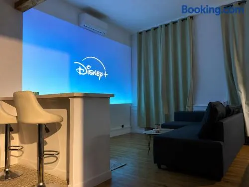 Cinéma et jeux de société, logement calme - Image 1