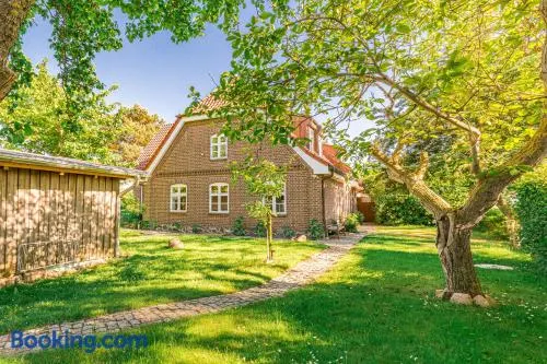 Tarnewitzer Kamp, Ferienwohnung 03 - Image 1