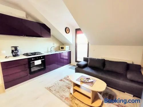 Simona Apartament Palas Mall - Image 1