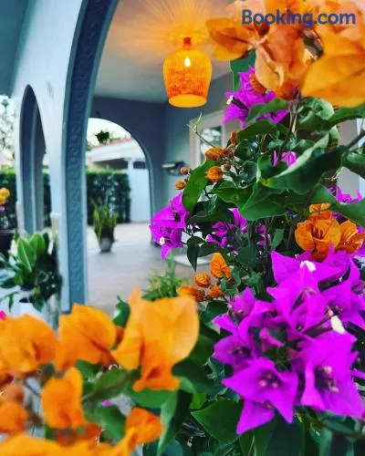 The blue Homestay near Miami Airport - Image 1