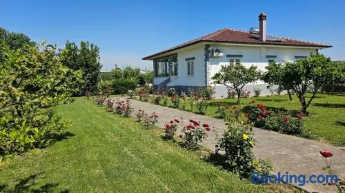 Vila Rrozhani - Image 1